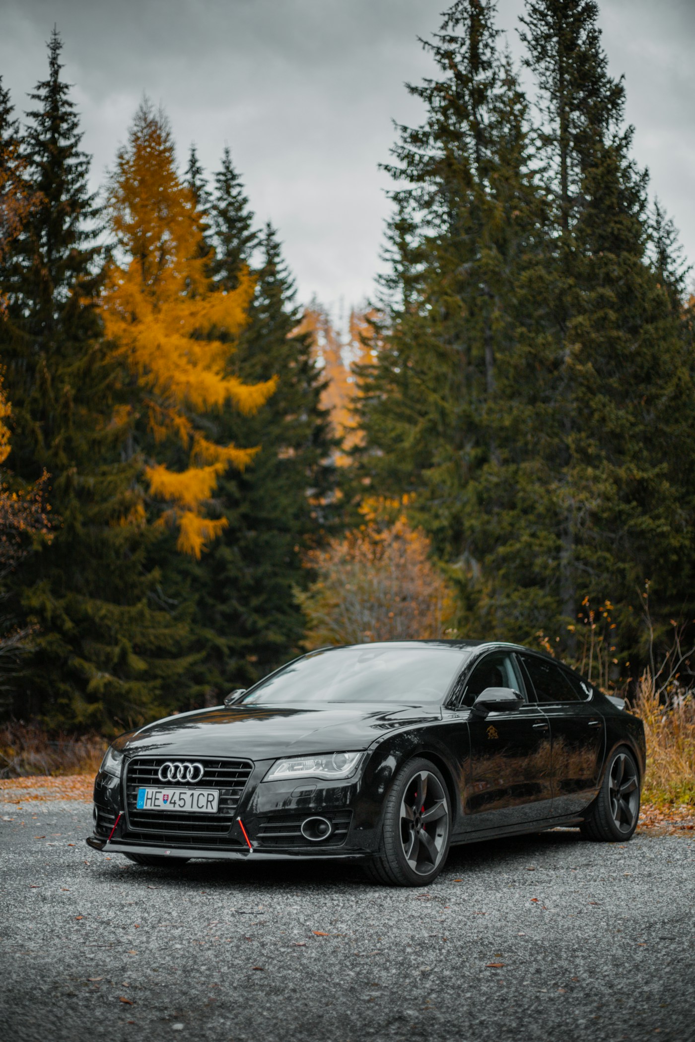 Premium sedan parked alongside a forest road
